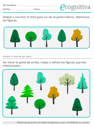 ecognitiva ejercicios memoria mayo 2025