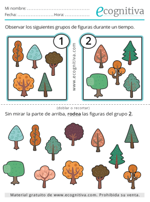 ejercicio de memoria de grupos gratis