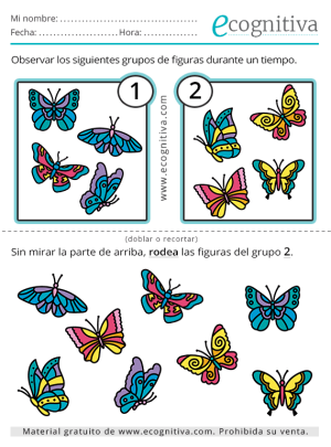 memorizar grupos de elementos
