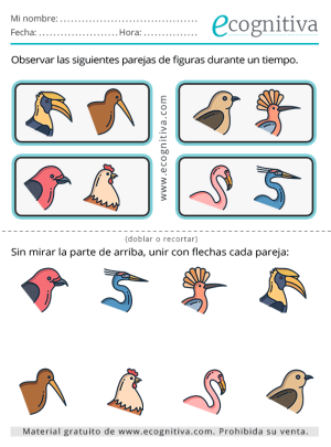 cuaderno ecognitiva noviembre 2025