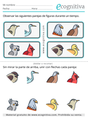 ecognitiva pdf noviembre 2025