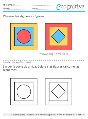 ejercicio memoria noviembre 2025
