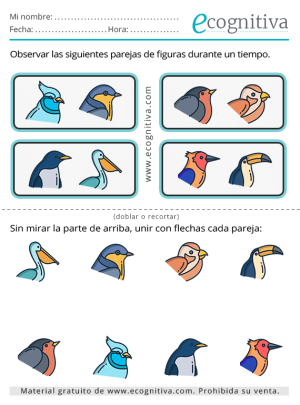 ejercicios de memoria noviembre 2025