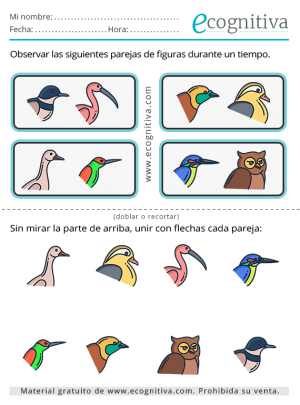 memoria noviembre 2025