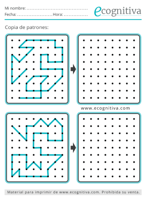 copia de patrones febrero 2026