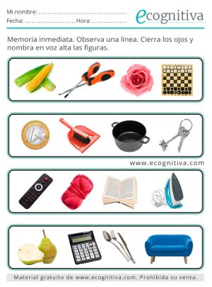 ecognitiva memoria febrero 2026