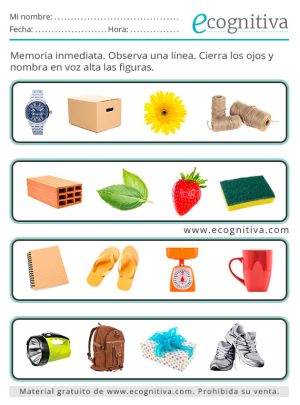 memoria visual febrero 2026