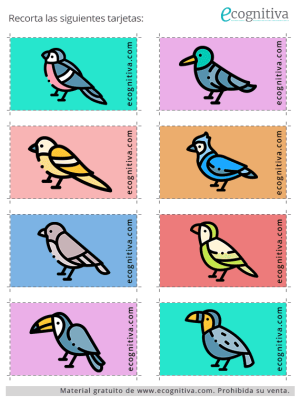 rastreo visual febrero 2026